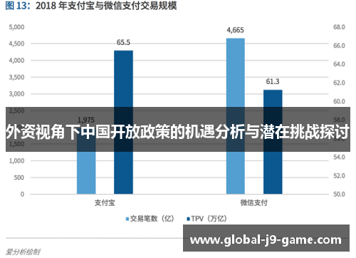 外资视角下中国开放政策的机遇分析与潜在挑战探讨 外资视角下中国开放政策的机遇分析与潜在挑战探讨