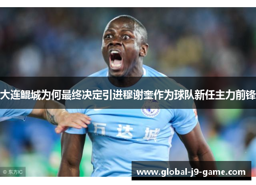 大连鲲城为何最终决定引进穆谢奎作为球队新任主力前锋 大连鲲城为何最终决定引进穆谢奎作为球队新任主力前锋