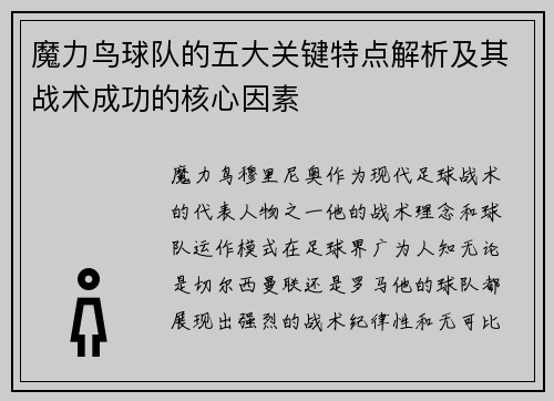 魔力鸟球队的五大关键特点解析及其战术成功的核心因素